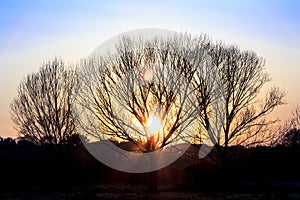 Sunset in the Park of the Caffarella