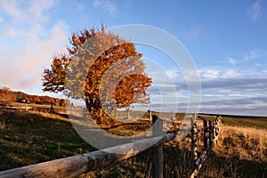 Sunset in the park of Monti San Vicino and Canfaito, Italy photo