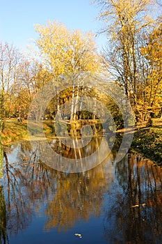 Sunset in a park with tree reflection on the water