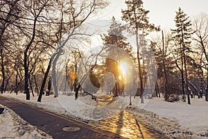 Sunset in the park in winter