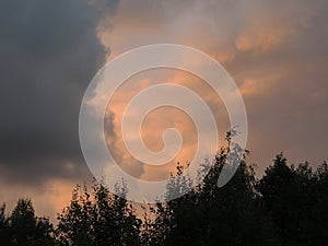 Sunset in pastel colours over the tops of bushes