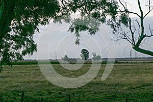 Sunset on the pasture fields , in Argentina