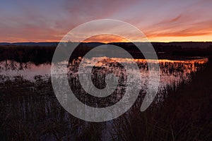 Sunset Penrith Wetlands