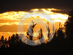 Sunset photography. Chilean countryside. Nature landscape. Palmilla, Maule , Chile.