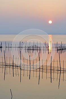 Sunset at pier in the Natural Park of the Albufera