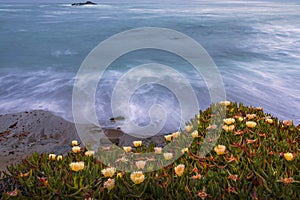 Sunset by Pigeon Point Lighthouse on Northern California coastline at sunset