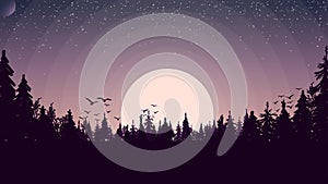 Sunset in a pine forest, birds soared into the sky