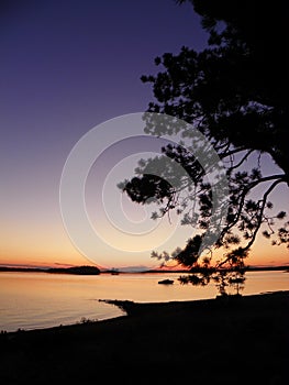 Sunset and pine tree silhouette on Ottawa River