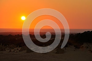 Sunset in the Pinnacle Desert: Western Australia