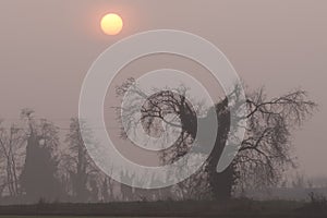 Sunset Po Valley Italy landscape sun sky fields color