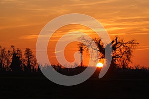 Sunset Po Valley Italy landscape sun sky fields color