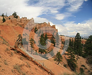 Sunset Point Bryce Canyon