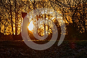 Sunset in Polan in the park