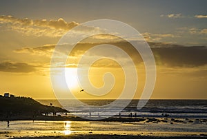 Sunset at polzeath beach, Cornwall, UK