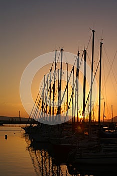 Sunset in the port Alghero photo