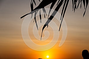 Sunset at Porto da Barra in the city of Salvador, Bahia photo