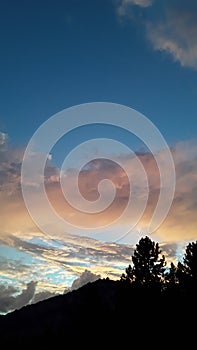 Sunset portrait of a pine ridge and steamy clouds in picturesque California