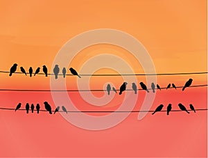 Sunset poster print of birds on a wire