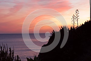 Sunset - Praia da rocha beach,portugal-algarve photo