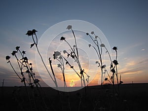 Sunset on the prairie