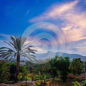 Sunset in Puerto de la Cruz, Tenerife. photo