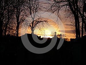 Sunset in the PÃ¨re Lachaise cemetery