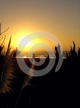 Sunset at Raglan, New Zealand photo