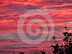 Sunset red clouds spectacular beautiful strange sky different