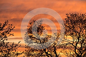 Sunset red sky with clouds horizontal background