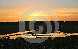 Sunset on Reelfoot Lake