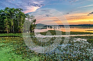 Sunset, Reelfoot Lake, Tennessee