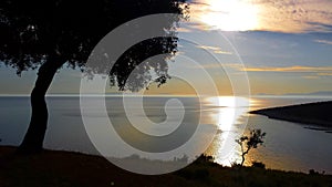 Sunset reflecrion and tree