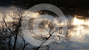 Sunset reflecting on Waikato river in Ngaruawahia