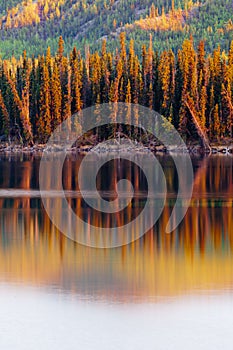 Sunset reflections on boreal forest lake in Yukon