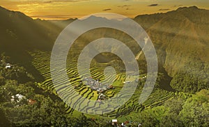 Sunset in rice field terraces at batad