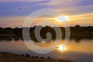 Sunset in Richmond park, London,UK