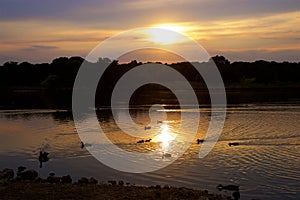 Sunset in Richmond park, London,UK