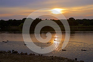 Sunset in Richmond park, London,UK