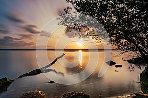 Sunset on Ringkobing Fjord in Denmark at Hvide Sande. Longtime Exposure with a fallen Tree in the foreground.