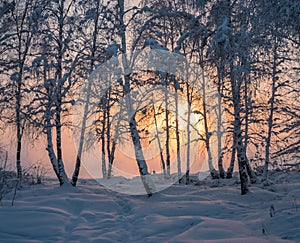 Sunset at the river Angara