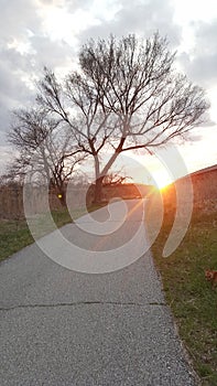 Sunset on the river path