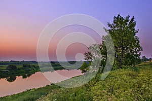 Sunset at the river with a view on a big tree