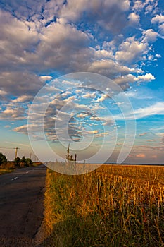 Sunset road beside sunflower field after harvest with clouds