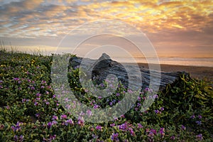 Sunset at a Rocky Beach, Northern California Coast