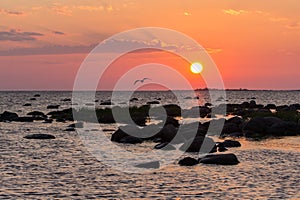 Sunset rocky beach, peaceful sea, orange sky. Kihnu, small island in Estonia. Baltic sea, Europe. Natural environment background photo