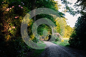 Sunset at a romantic path in Duch summer landscape Twente