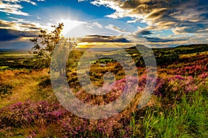 Sunset at Roseberry Topping, North Yorkshire