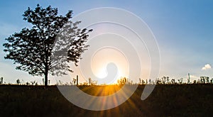 Sunset on Rural Hillside