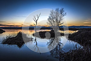 After sunset, Sacramento National Wildlife Refuge