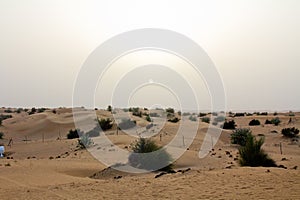 Sunset at a safari camp in Dubai, UAE.